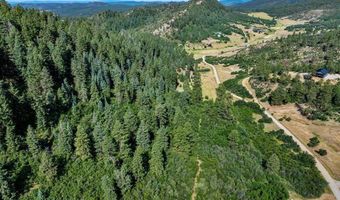 554 Pine Spring Dr, Bayfield, CO 81122