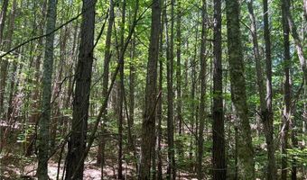 Fortner Road, Ball Ground, GA 30107