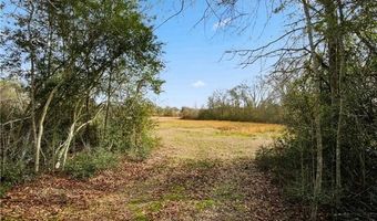 Tract B BOOMERANG Road lot Tract, Amite, LA 70422