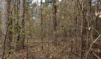 Tbd Pump Station Rd, Ashdown, AR 71822