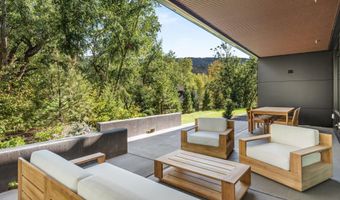 105 Willow Rd 203, Basalt, CO 81621