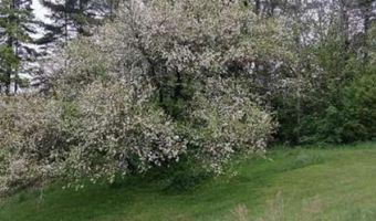 3851 VT Route 215 N, Cabot, VT 05647