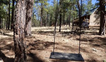 8 B County Road 2267 Escudilla Rd, Alpine, AZ 85920