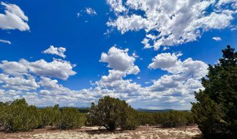 Tbd County Rd N8157, Concho, AZ 85924