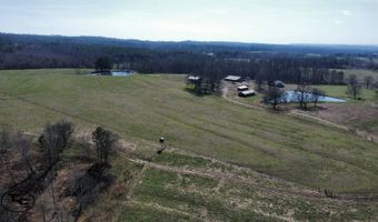 2665 Mt. Carmel Rd, Altoona, AL 35952