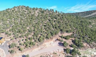 Butch Cassidy Circle, Central, UT 84722