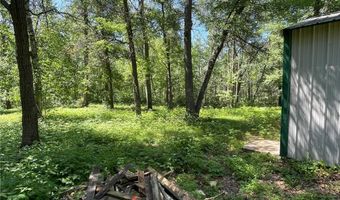 951 Swede Lake Trl SW, Backus, MN 56435