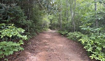 760 Cliff Top Trl, Andrews, NC 28901