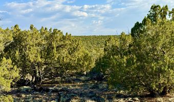 37 Co Rd N8174 10.1 Acres, Concho, AZ 85924