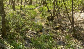 Steve Brown Road, Bean Station, TN 37708