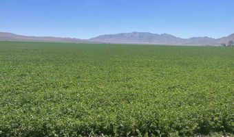 51955 Wilder Creek Rd, Denio, NV 89404
