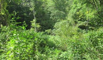 43 Sanctuary Ln, Alderson, WV 24910