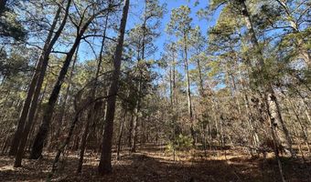 Lot 37 PETERSBURG Trace, Lincolnton, GA 30817