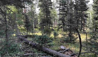 2 Back Basin Rd, Angel Fire, NM 87710