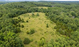 Co Rd 539, Ava, MO 65629