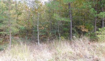 TBD Lyman Drive, Blacksburg, SC 29702