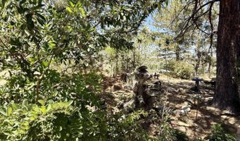 261 ROAD 5500, Bloomfield, NM 87413