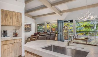 731 S Mill St 3A, Aspen, CO 81611