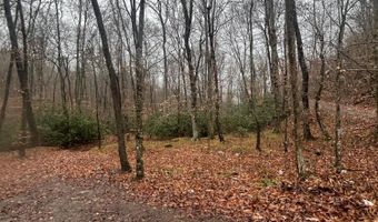 Brair Fork Road, Bean Station, TN 37708