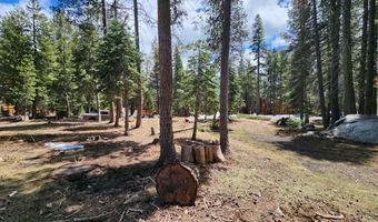99 Monty Wolf Rd, Bear Valley, CA 95223