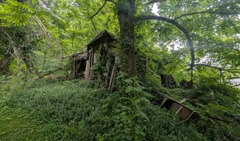 Mt Helen Rd, Allardt, TN 38504