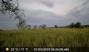 2245 CR 619, Pottsville, TX 76565
