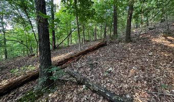 26301 S Sassafras Rdg, Afton, OK 74331