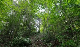 Lot 10 Booster Club Road, Bainbridge, GA 39819