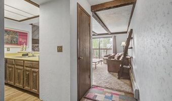 107 N Harris St 209, Breckenridge, CO 80424