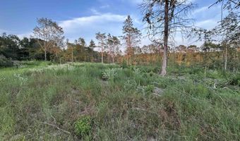 9751 Ocelot, Gilmer, TX 75644