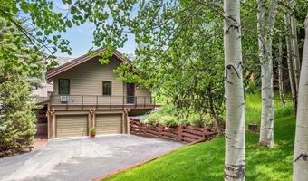 477 Aspen Oak Dr, Aspen, CO 81611