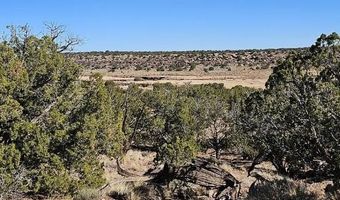 000 N8441, Concho, AZ 85924