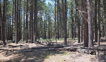 Lot 1 Block 2 Columbine Terrace, Angel Fire, NM 87710