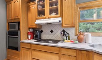 6783 Cathedral Ct SE, Alto, MI 49302