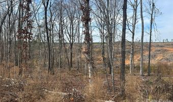 33 Ac Lot A Countryside Dr, Blackstock, SC 29014