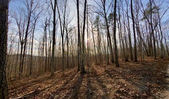 Muddy Ridge Rd, Adams, KY 41201
