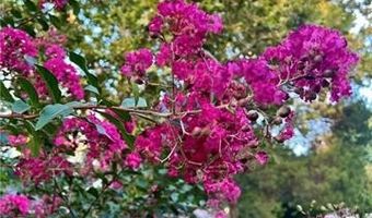 2501 MARYE St, Alexandria, LA 71301