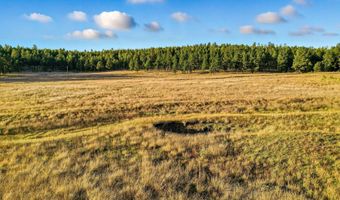 1 A FOREST ROAD 26, Alpine, AZ 85920