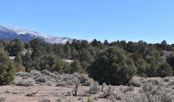 Tbd Burbank Canyons Wilderness Study Area 99, Gardnerville, NV 89410