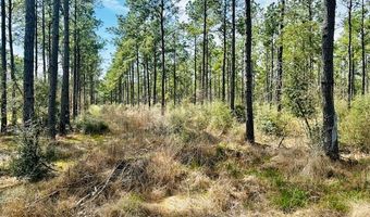 5-6 Laird Lane FM 357, Apple Springs, TX 75926