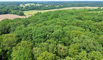 674 Cantrell Rd, Big Sandy, TN 38221