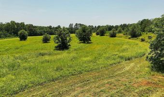 568 COUNTY ROAD 15 Lot 1, Autaugaville, AL 36003