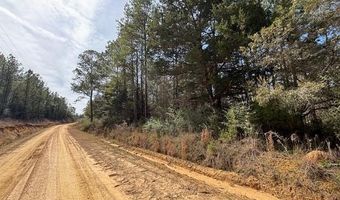 Conecuh River Church Rd, Andalusia, AL 36420