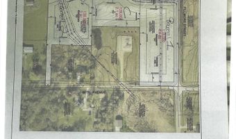 Parcel E Fillmore Street, Allendale, MI 49401