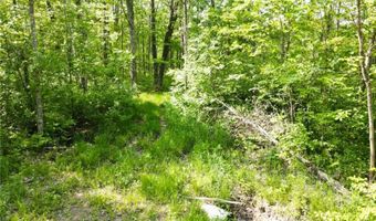Tbd 359TH LN, Aitkin, MN 56431
