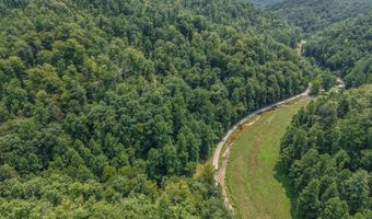 3750 Hunting Creek Rd, Bays, KY 41310