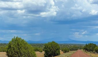 215 Gleed Station Rd Lot C 10 Acre, Ash Fork, AZ 86320