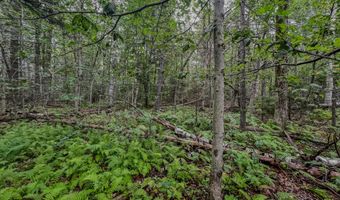 Johnson Rd lot 9, Becket, MA 01223