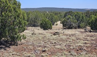 Tbd N8060, Concho, AZ 85924