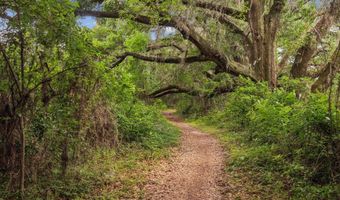 12665 NW 139TH Way, Alachua, FL 32615